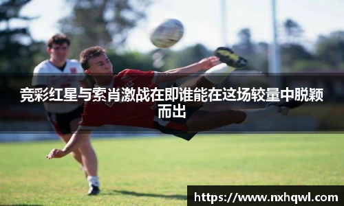 智博19有限公司