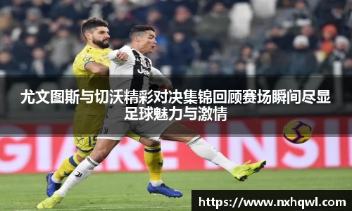 智博19有限公司